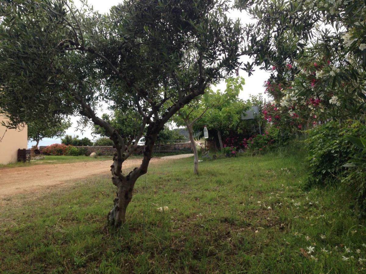 Kioni Villas Frangokastello Eksteriør billede